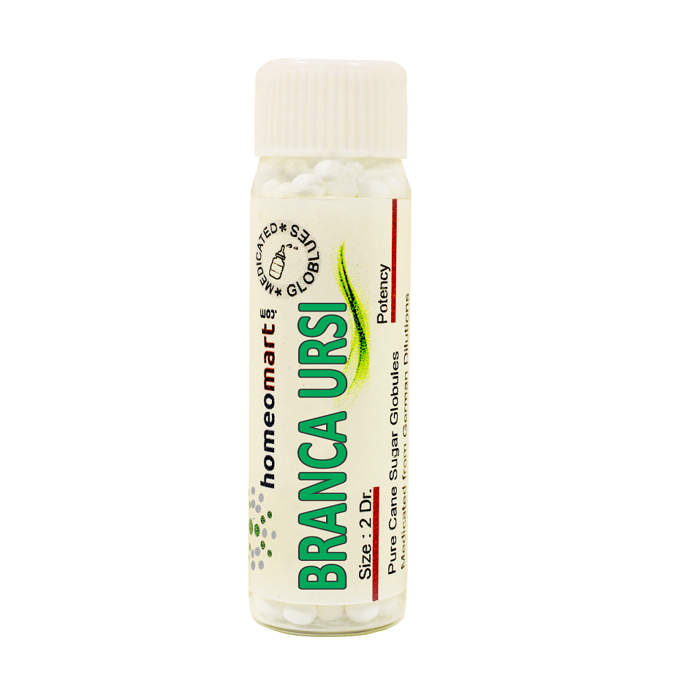 Branca Ursina Homeopathy 2 Dram Pills 