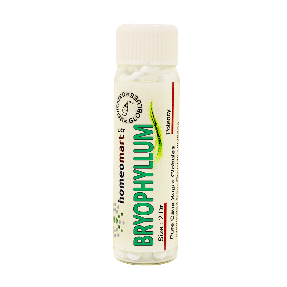 Bryophyllum Homeopathy 2 Dram Pills 6C, 30C, 200C, 1M