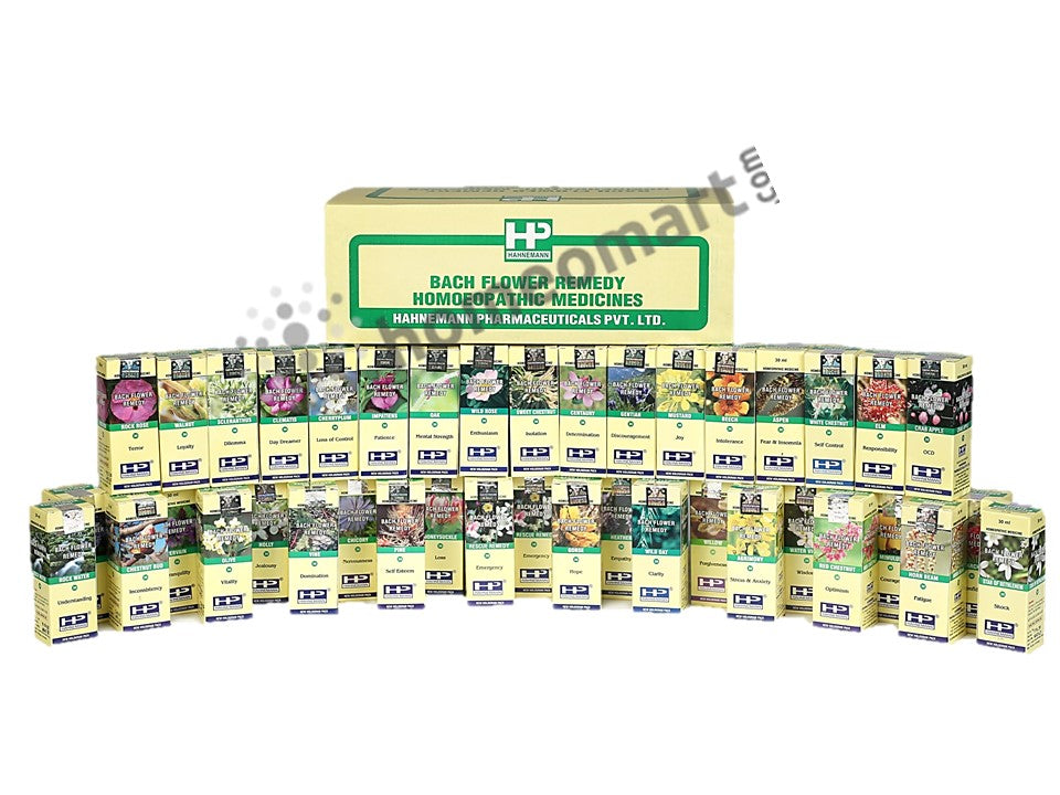Best Bach Flower remedies kit  in India online