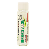 berberis vulgaris pills, buy berberis vulgaris medicated globules, berberis vulgaris 2 dram price, homeopathic pills for kidney stones, buy berberis vulgaris pellets online, berberis vulgaris 30c pills, berberis vulgaris 200c globules, homeopathic kidney stone remedy pellets, barberry pills homeopathy, buy berberis medicated globules
