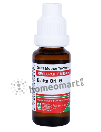 German-Adel-Blatta-Orientalis-Mother-Tincture-Q.