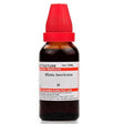 Blatta Americana, Blatta Americana homeopathic medicine, Blatta Americana homeopathic remedy, Blatta Americana drops, Blatta Americana medicine, Blatta Americana homeopathy, Blatta Americana dilution, Blatta Americana remedy, homeopathic Blatta Americana, Blatta Americana liquid