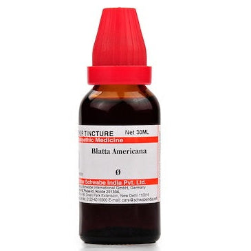 Blatta Americana, Blatta Americana homeopathic medicine, Blatta Americana homeopathic remedy, Blatta Americana drops, Blatta Americana medicine, Blatta Americana homeopathy, Blatta Americana dilution, Blatta Americana remedy, homeopathic Blatta Americana, Blatta Americana liquid