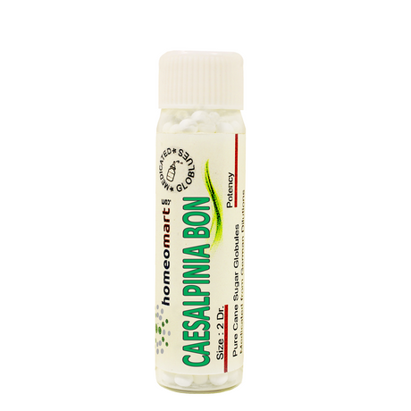 Caesalpinia Bonducella Homeopathy 2 Dram Pills