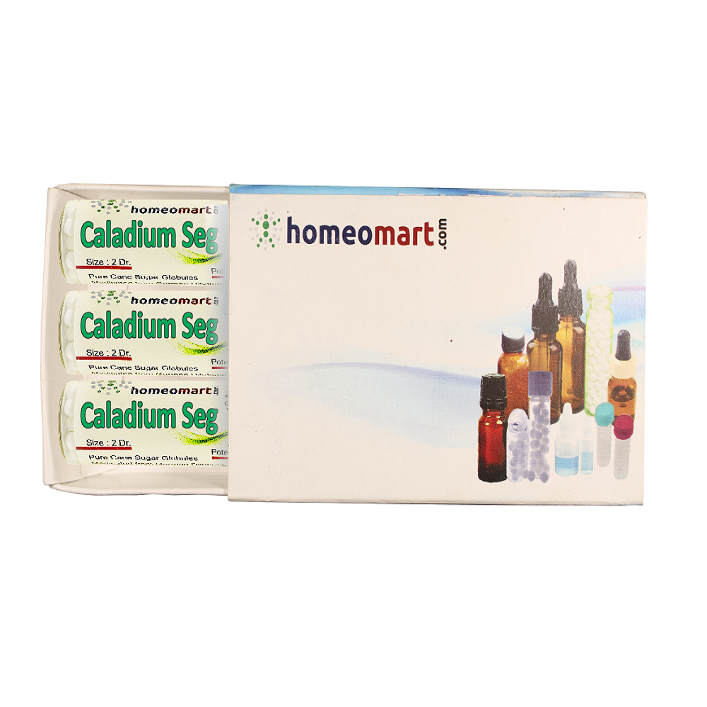 Homeopathy Caladium Seguinum 2 Dram Pills 6C, 30C, 200C, 1M, 10M