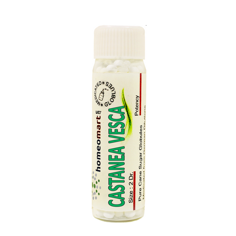 Castanea Vesca Homeopathy 2 Dram Pills