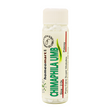 Chimaphila Umbellata Homeopathy 2 Dram Pills