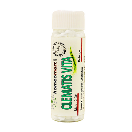 Clematis Vitalba Homeopathy 2 Dram Pills 