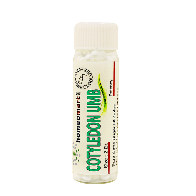 Cotyledon Umbilicus Homeopathy 2 Dram Pills 