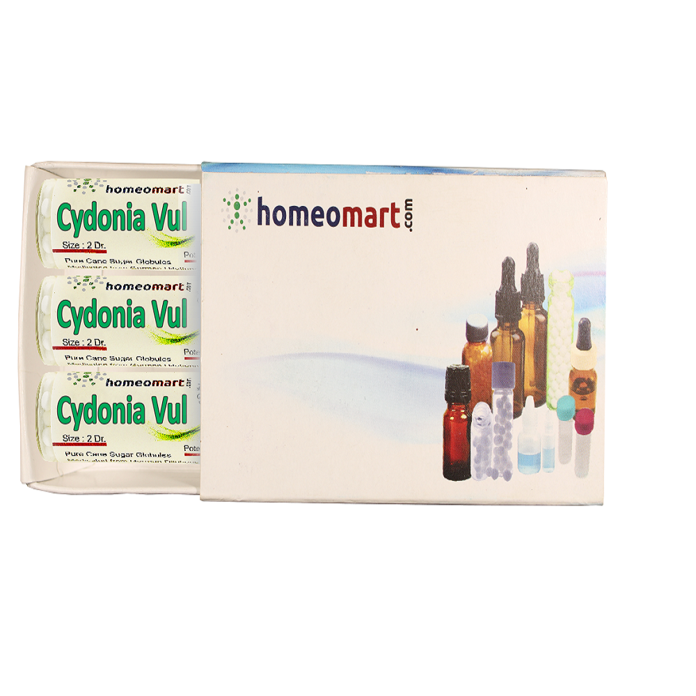 Cydonia Vulgaris 2 Dram Pills Box