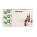 Cantharis Homeopathy 2 Dram medicated  Pills  box