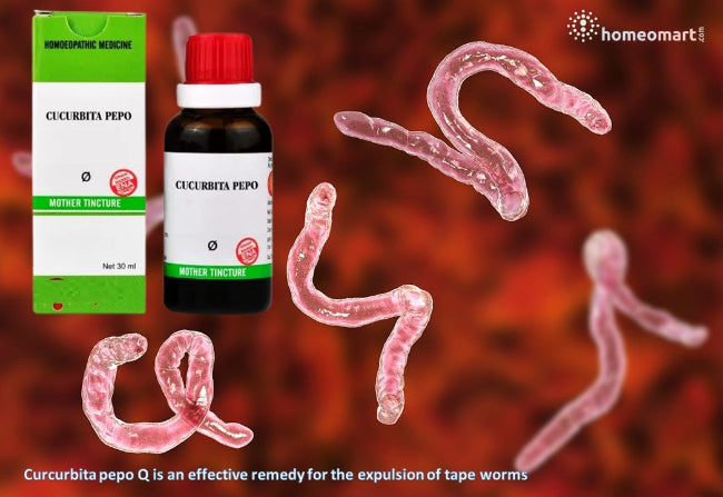 tapeworm cure pumpkin extract drops. tapeworm treatment medicine homeopathic