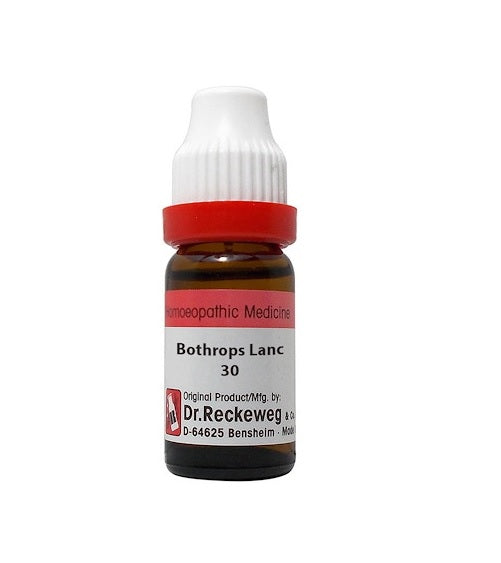 Dr Reckeweg german-bothrops-lanceolatus-dilution-30C