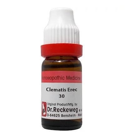 Dr Reckeweg Clematis Erecta  Dilution 6C, 30C, 200C, 1M, 10M