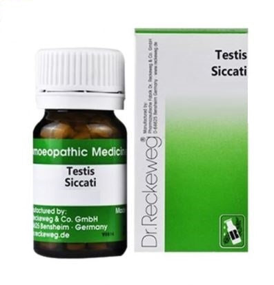 schwabe Testes (testis) Siccati 3x homeopathy Trituration Tablet