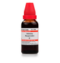 Schwabe Duboisia Myoporoides Homeopathy Mother Tincture Q