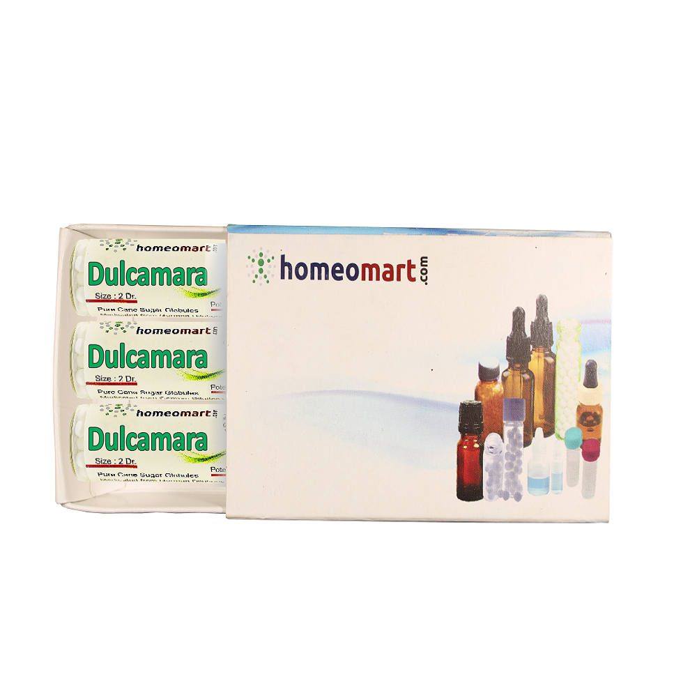 Dulcamara 2 Dram Pills Box