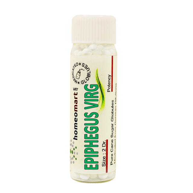 Epiphegus Virginiana Homeopathy 2 Dram Pills