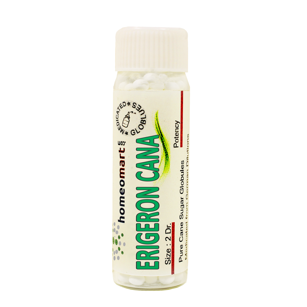 Erigeron Canadensis Homeopathy 2 Dram Pills