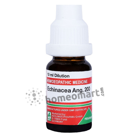 German Echinacea Angustifolia Homeopathy Dilution