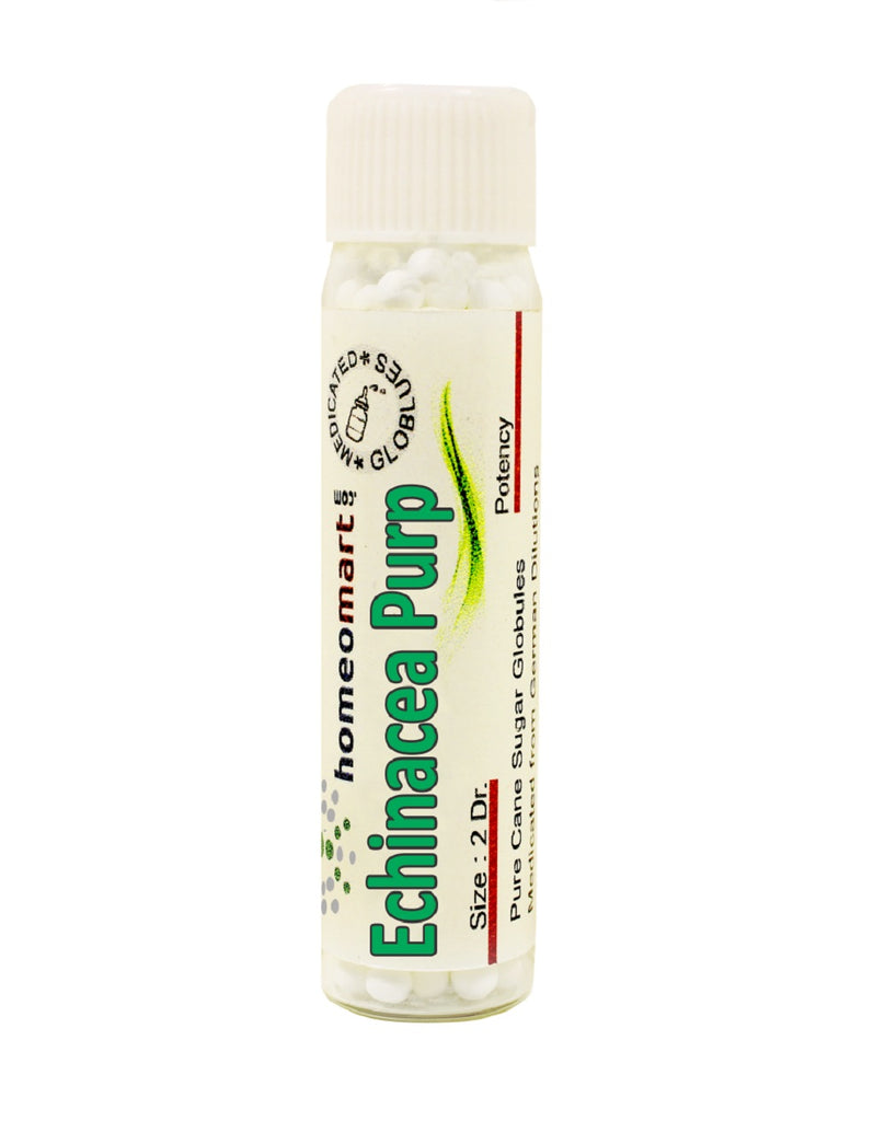 Echinacea Purpurea 2 Dram homeopathy Pills