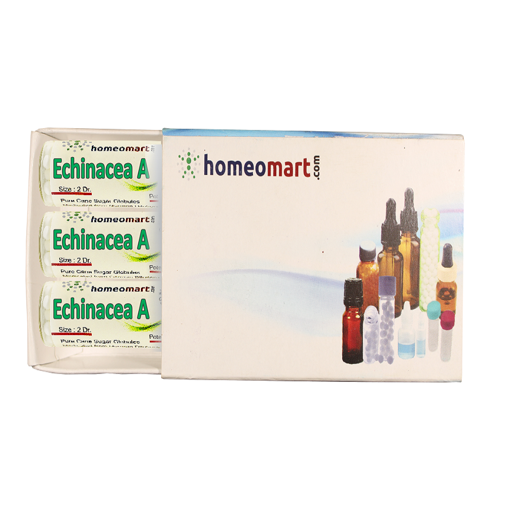 Echinacea Angustifolia 2 Dram Pills box homoeopathy