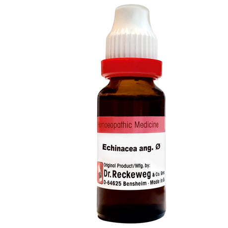 Reckeweg German Echinacea Angustifolia Mother Tincture Q