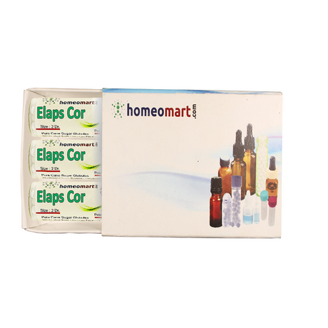 Elaps Corallinus 2 Dram Pills Box