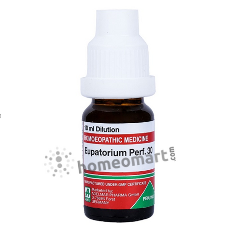 जर्मन यूपेटोरियम परफोलिएटम होम्योपैथी डाइल्यूशन 6C, 30C, 200C, 1M, 10M, CM