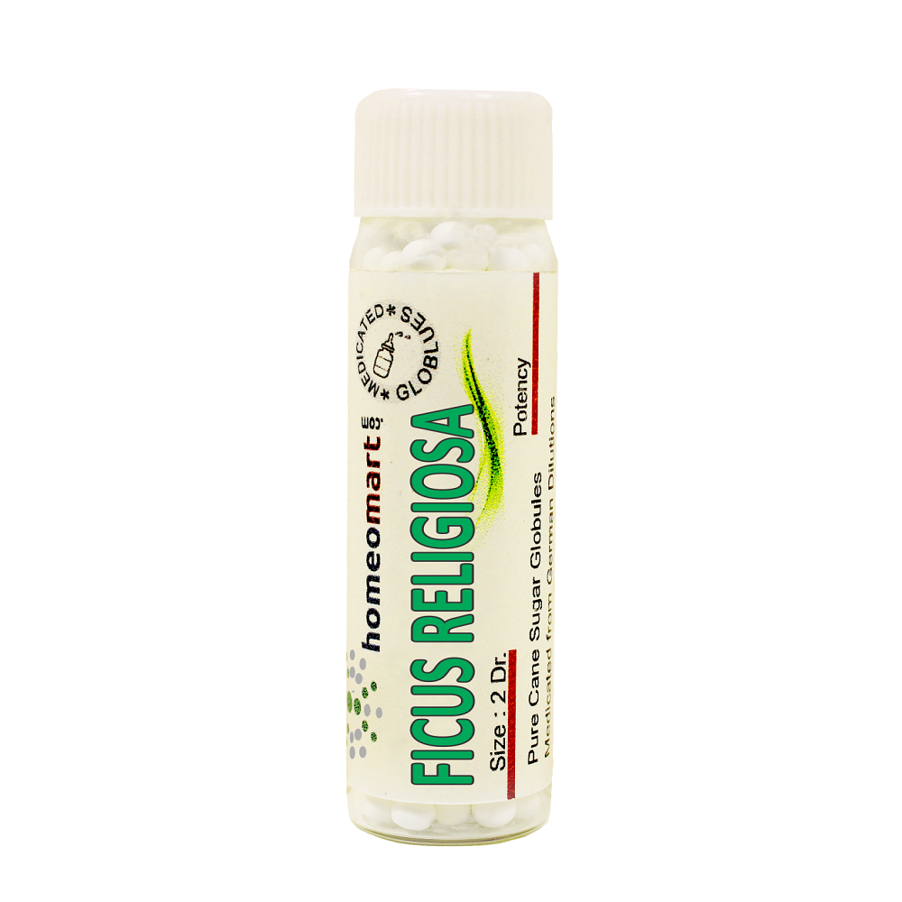 Ficus Religiosa Homeopathy 2 Dram Pills 