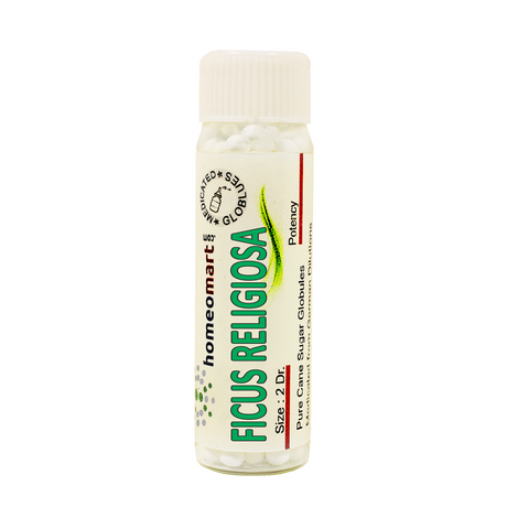 Ficus Religiosa Homeopathy 2 Dram Pills 