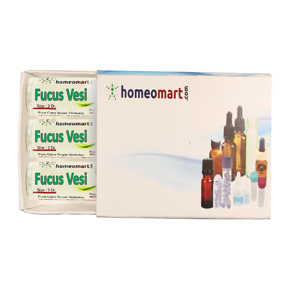 Fucus Vesicxoulosus 2 Dram Pills Box