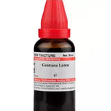 Gentiana Lutea Q for loss of appetite, Gentiana Lutea Q for poor appetite, Gentiana Lutea Q for indigestion, Gentiana Lutea Q for dyspepsia,