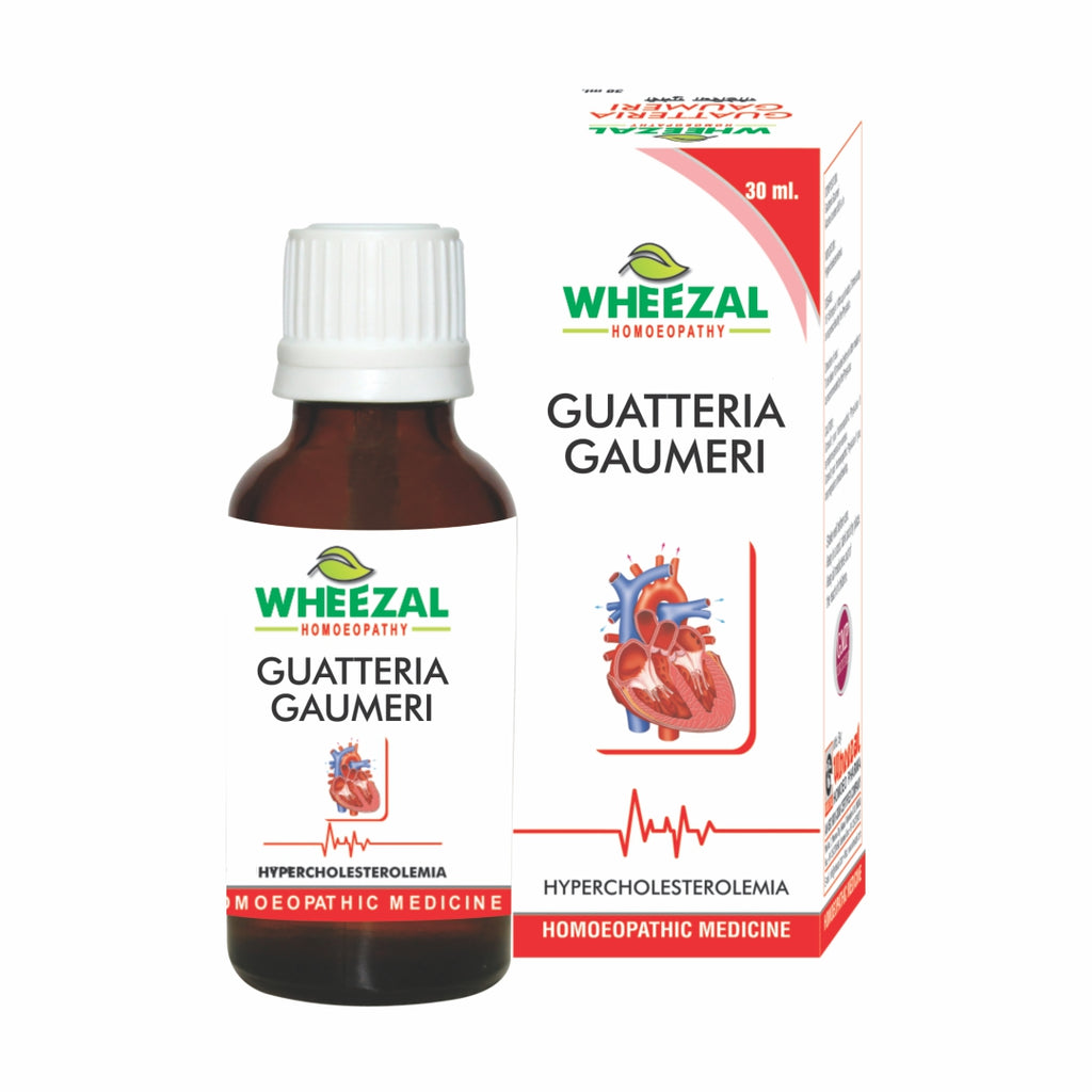Wheezal Homeopathy Guatteria Gaumeri Drops, Hypercholestrolemia