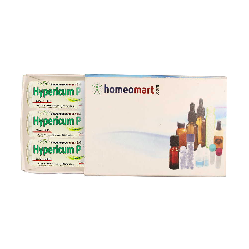 Homeopathy Hypericum Perforatum 2 Dram Pills Box