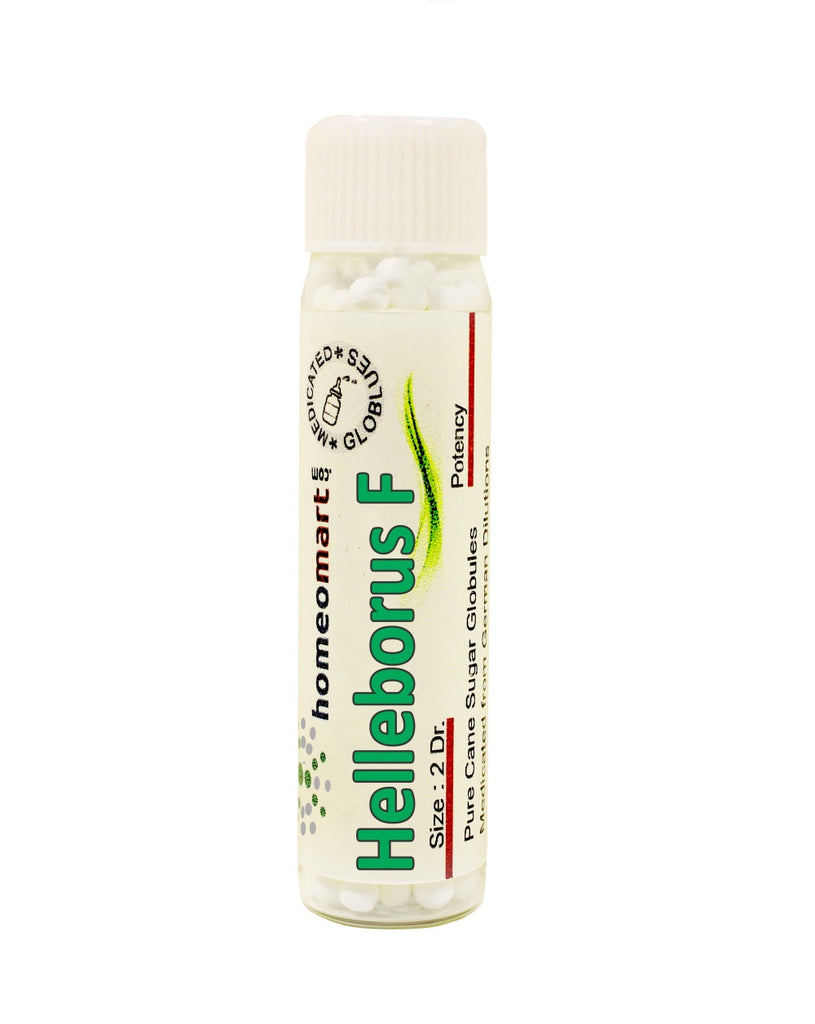 Helleborus Foetidus Homeopathy medicine