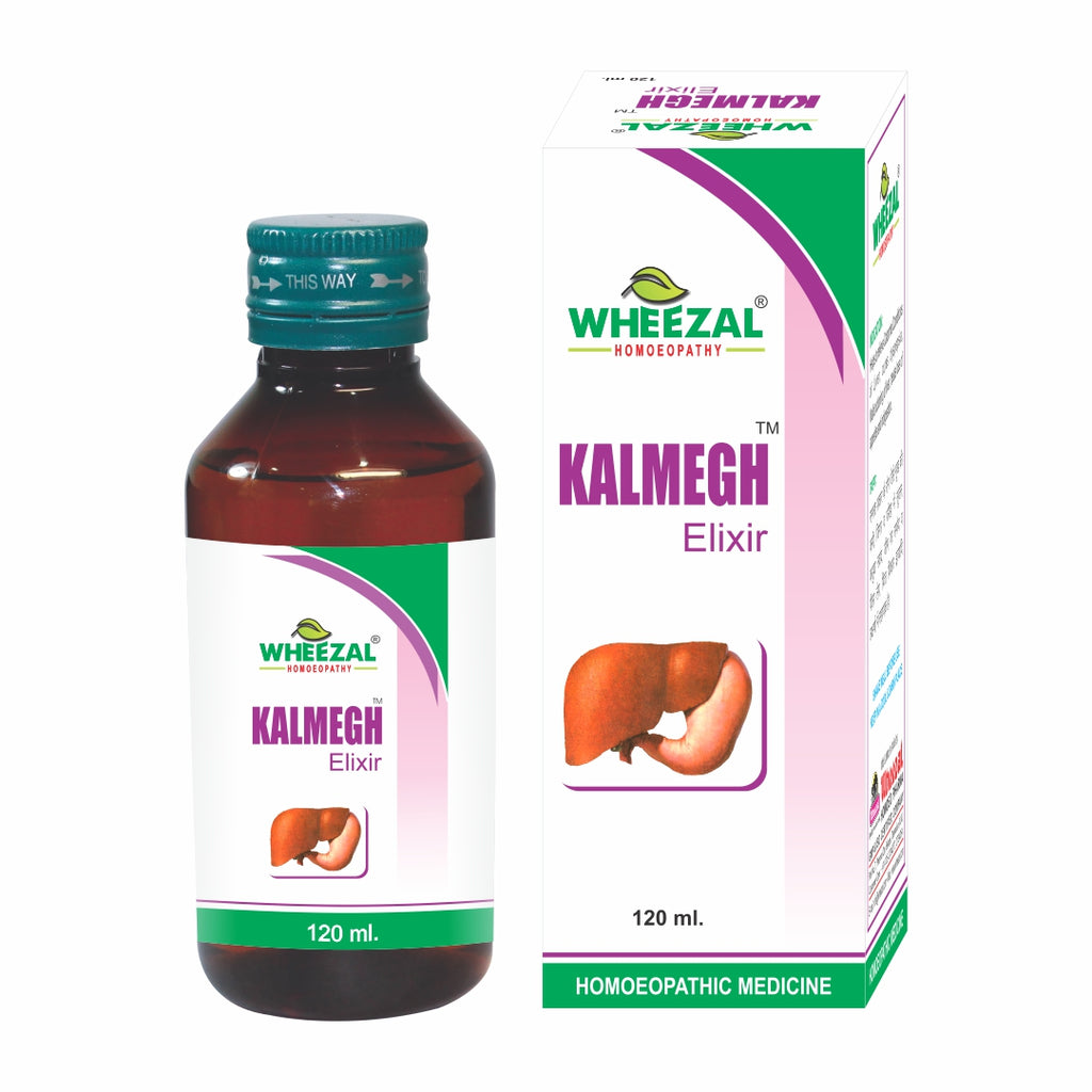 Wheezal Homeopathy Kalmegh Syrup for Loss of Appetite and Jaundice