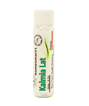 Kalmia Latifolia Homeopathy Medicated Pills 