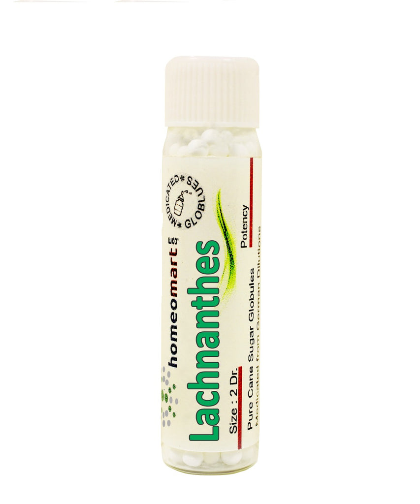 Lachnanthes Homeopathy medicine