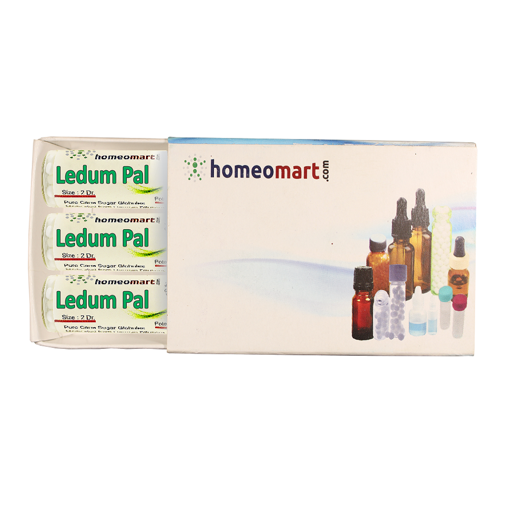 Ledum Pal 2 Dram Pills 6C, 30C, 200C, 1M, 10M homeopathy pills box
