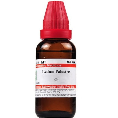Homeopathic Medicine for Gout, Ledum Palustre for Bee Stings, Homeopathy for Sprains, German Homeopathic Mother Tincture