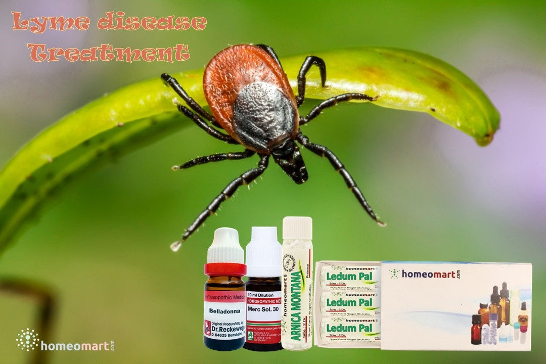 lyme disease treatment homeopathy medicines