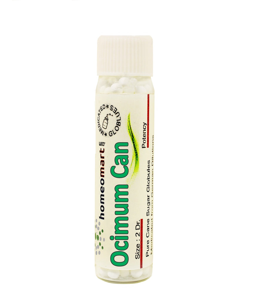 Ocimum canum Homeopathy medicine