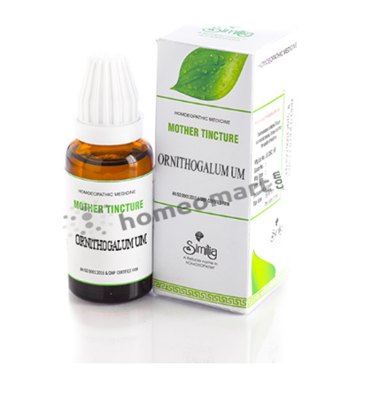 Ornithogalum Homeopathy Mother Tincture Q