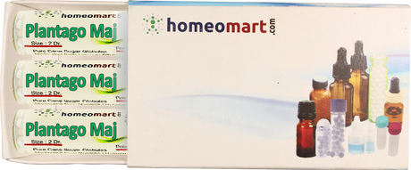 Plantago Major Homeopathy medicine Box