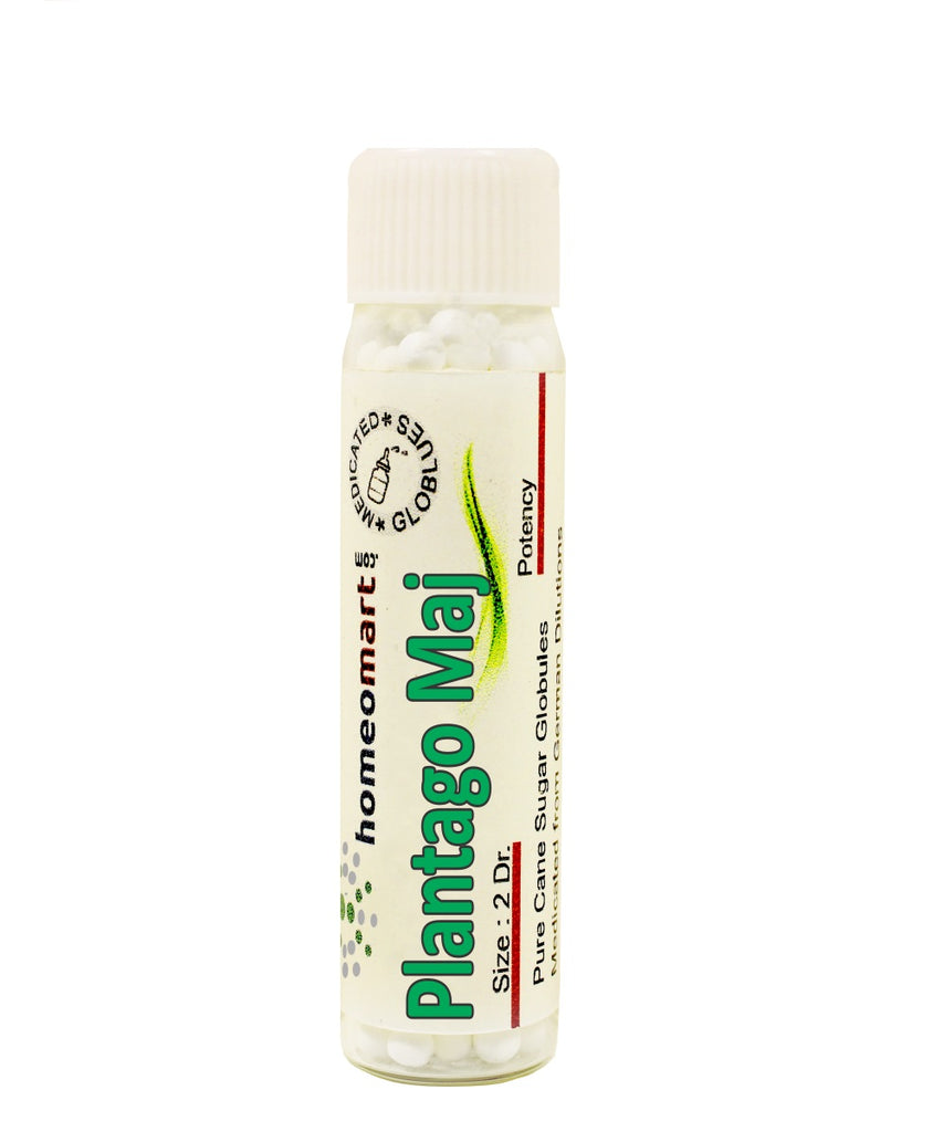 Plantago Major Homeopathy medicine