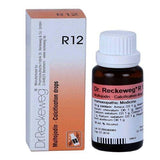 Reckeweg R12 Drops help manage arteriosclerosis, calcium deposits, blood circulation issues, early stroke recovery, and glandular swellings. Natural homeopathic remedy. 30ml.