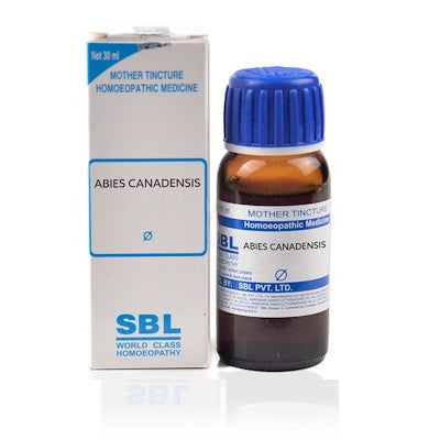 SBL Abies Canadensis Homeopathy Mother Tincture Q