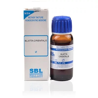 SBL-Blatta-Orientalis-Homeopathy-Mother-Tincture-Q in 30 ml