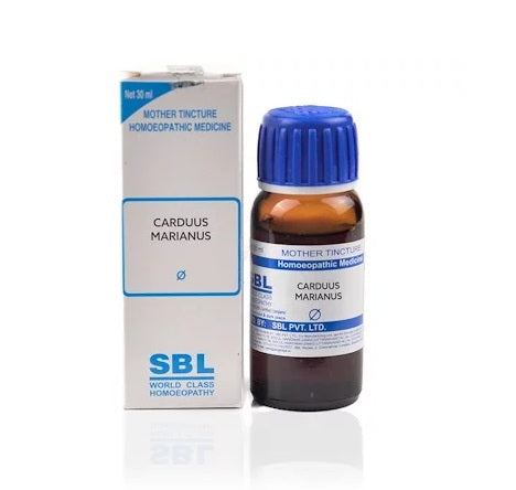 SBL-Carduus-Marianus-Homeopathy-Mother-Tincture-Q